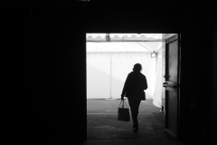 Milessime_Bio-2010752-1