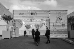 Millesime Bio - Entrance-2010631