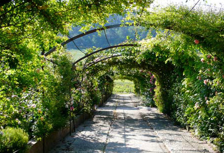 Château Val Joanis, vignoble et jardins en Provence - Windows Internet Explorer 232013 64146 PM