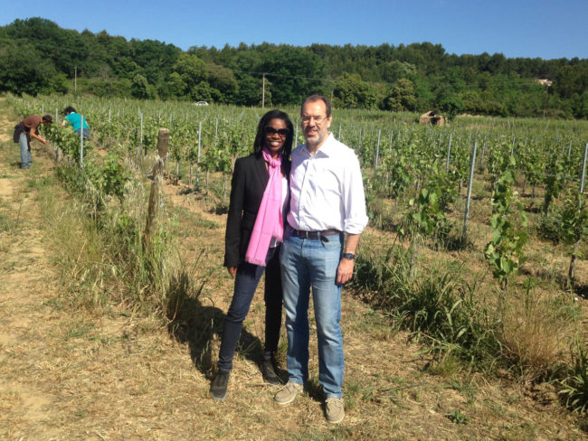 Nos vins rosés AOP Luberon en Provence