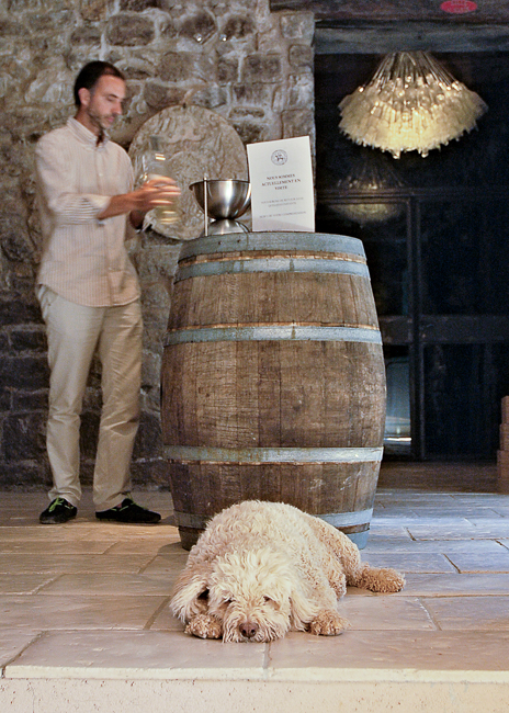 Photo of Alban Cacaret and Belle, Cacaret's dog