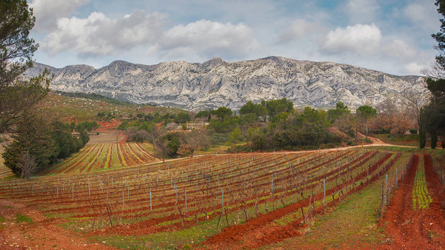 Photo of the stunning views of Mont Sainte Victoire from Domaine Richeaume vineyards